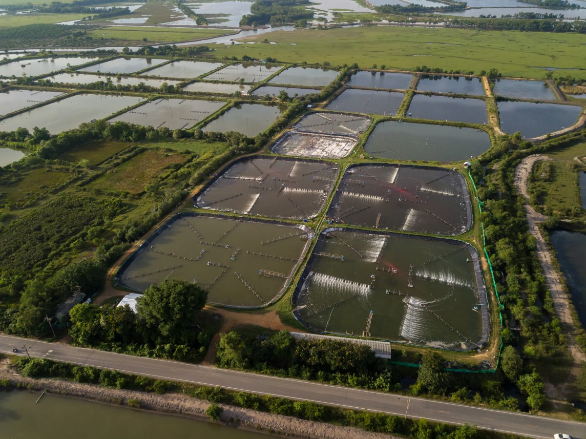 aqua-farms
